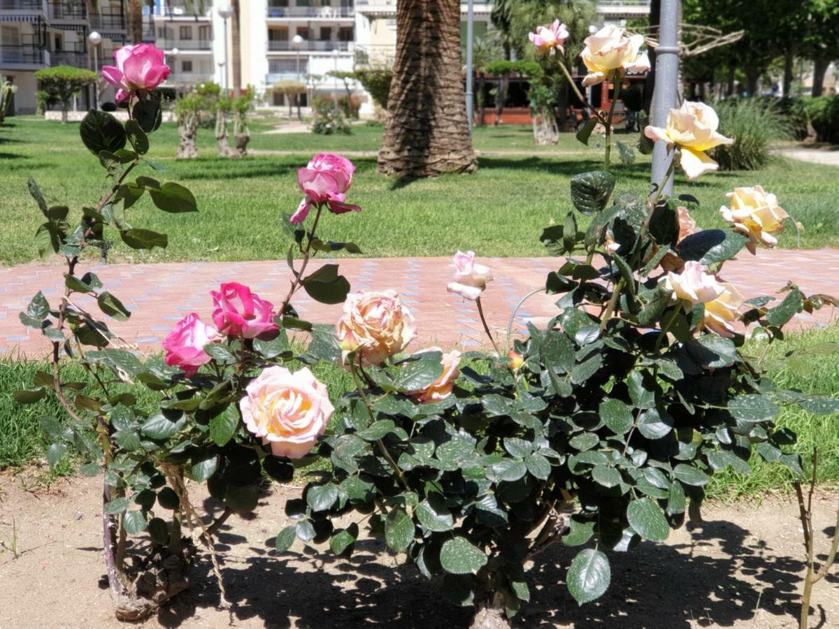 Apartamento Kristina Apartment Salou Ngoại thất bức ảnh